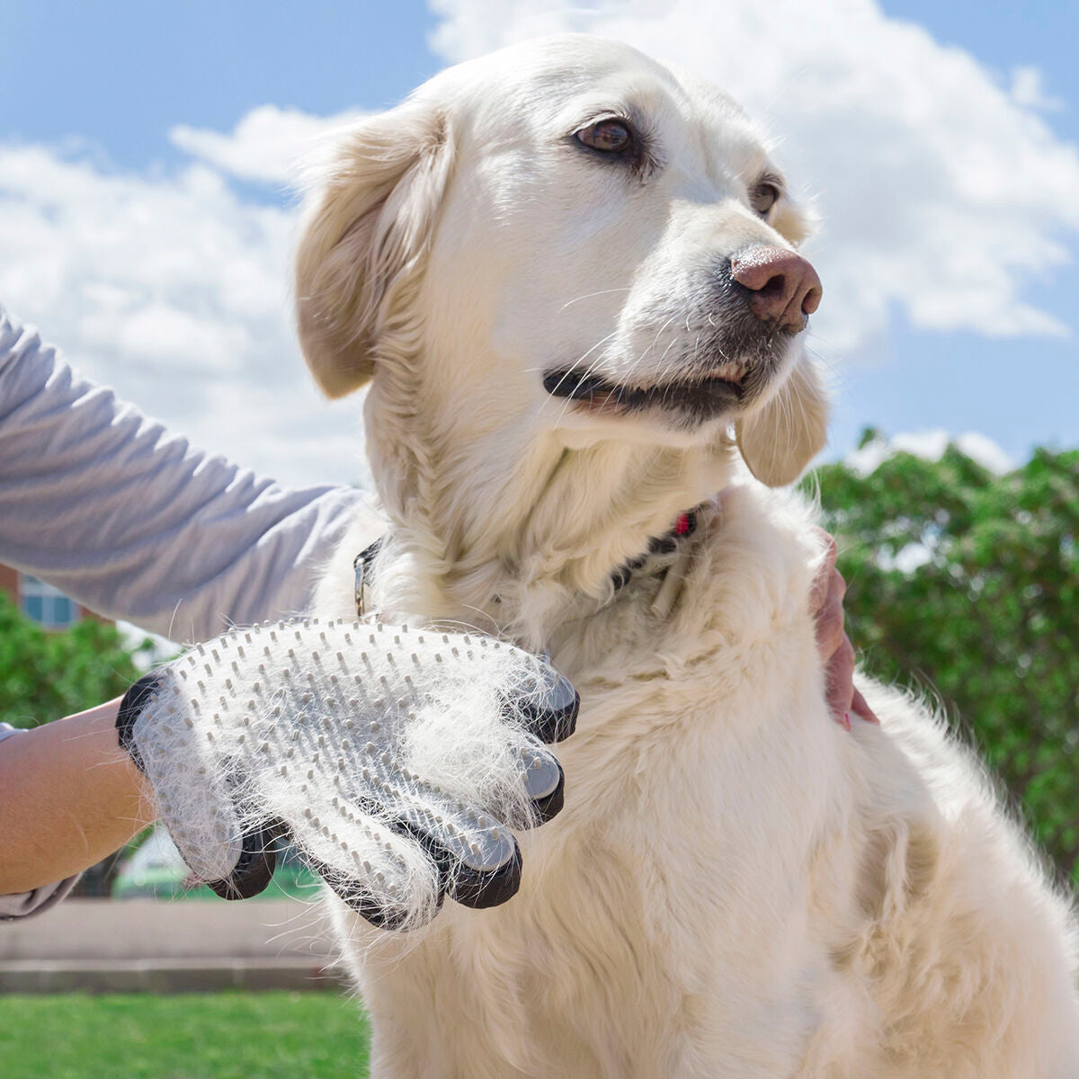 Pet Brush & Massage Glove Relpet - Twistify