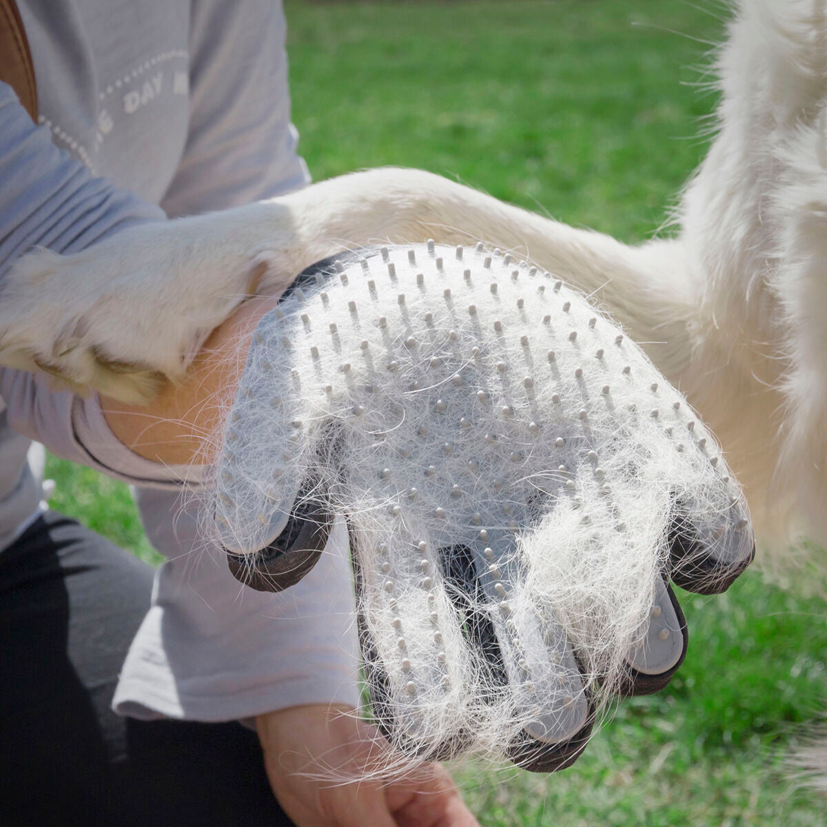 Pet Brush & Massage Glove Relpet - Twistify
