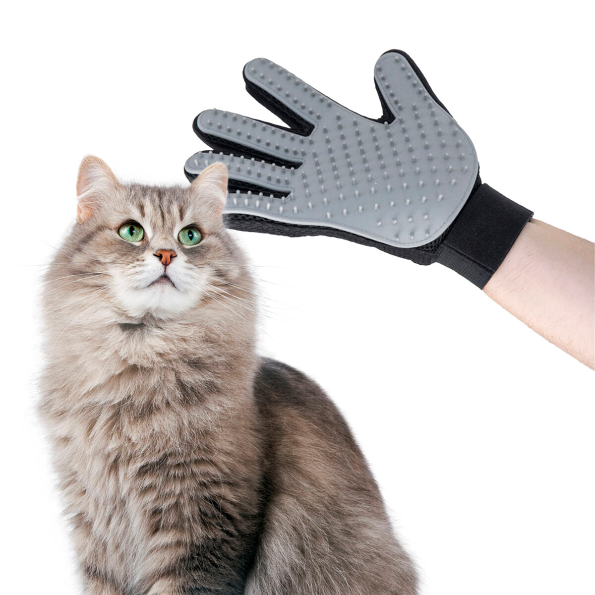 Pet Brush & Massage Glove Relpet - Twistify