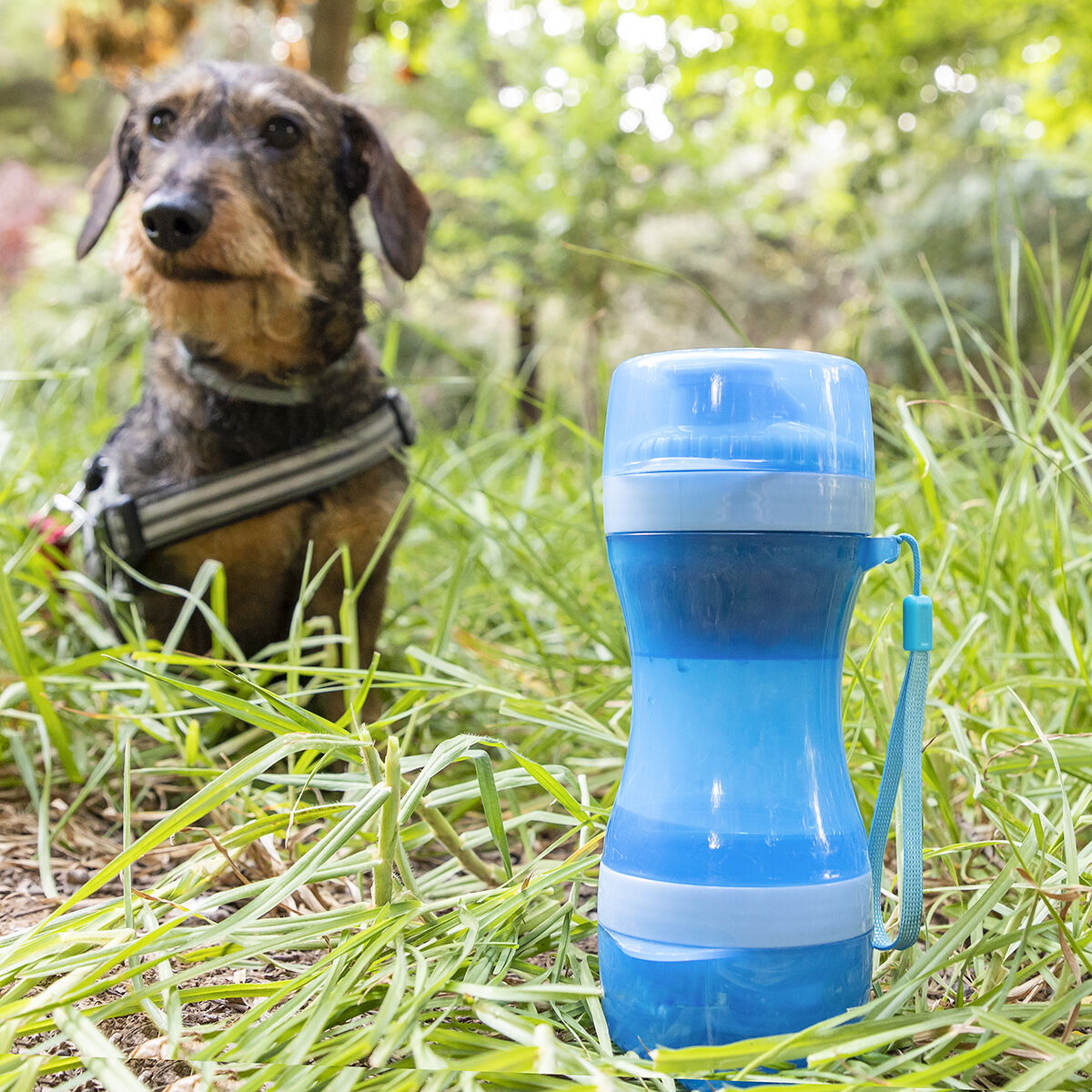 2-in-1 Flasche mit Futter- und Wasserschale - Twistify