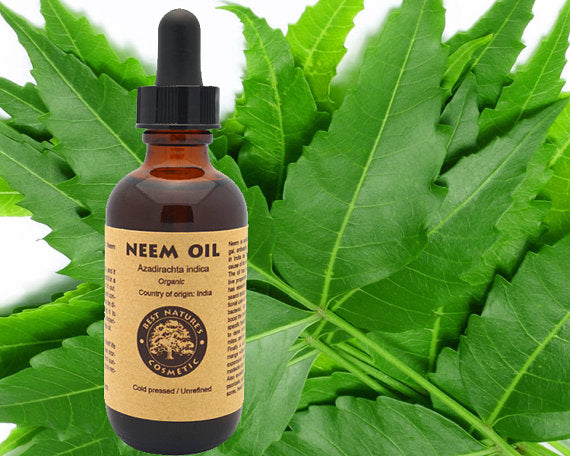 100% Reines Virgin Neemöl – Organisch - Twistify