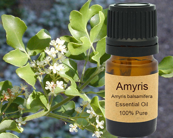 100% reines Amyris Essential Oil - Twistify
