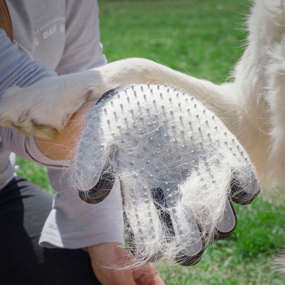 Pet Brush & Massage Glove Relpet - Twistify