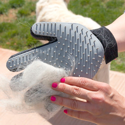 Pet Brush & Massage Glove Relpet - Twistify