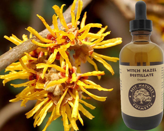 Witch Hazel Distillate Organic - Twistify