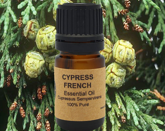 Cypress French Essential Oil - Twistify